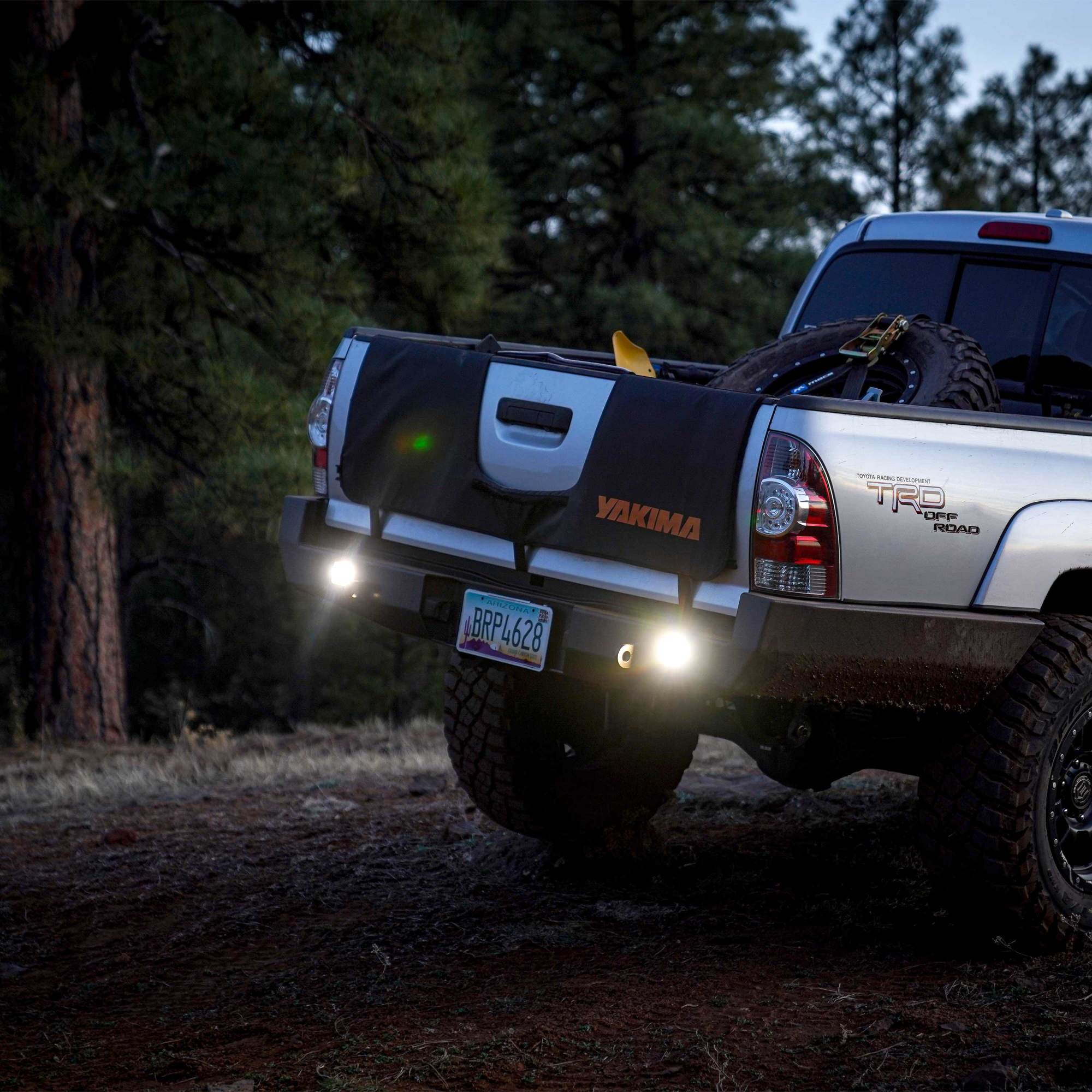 1265_Aux_Light_18.jpg thumbnail