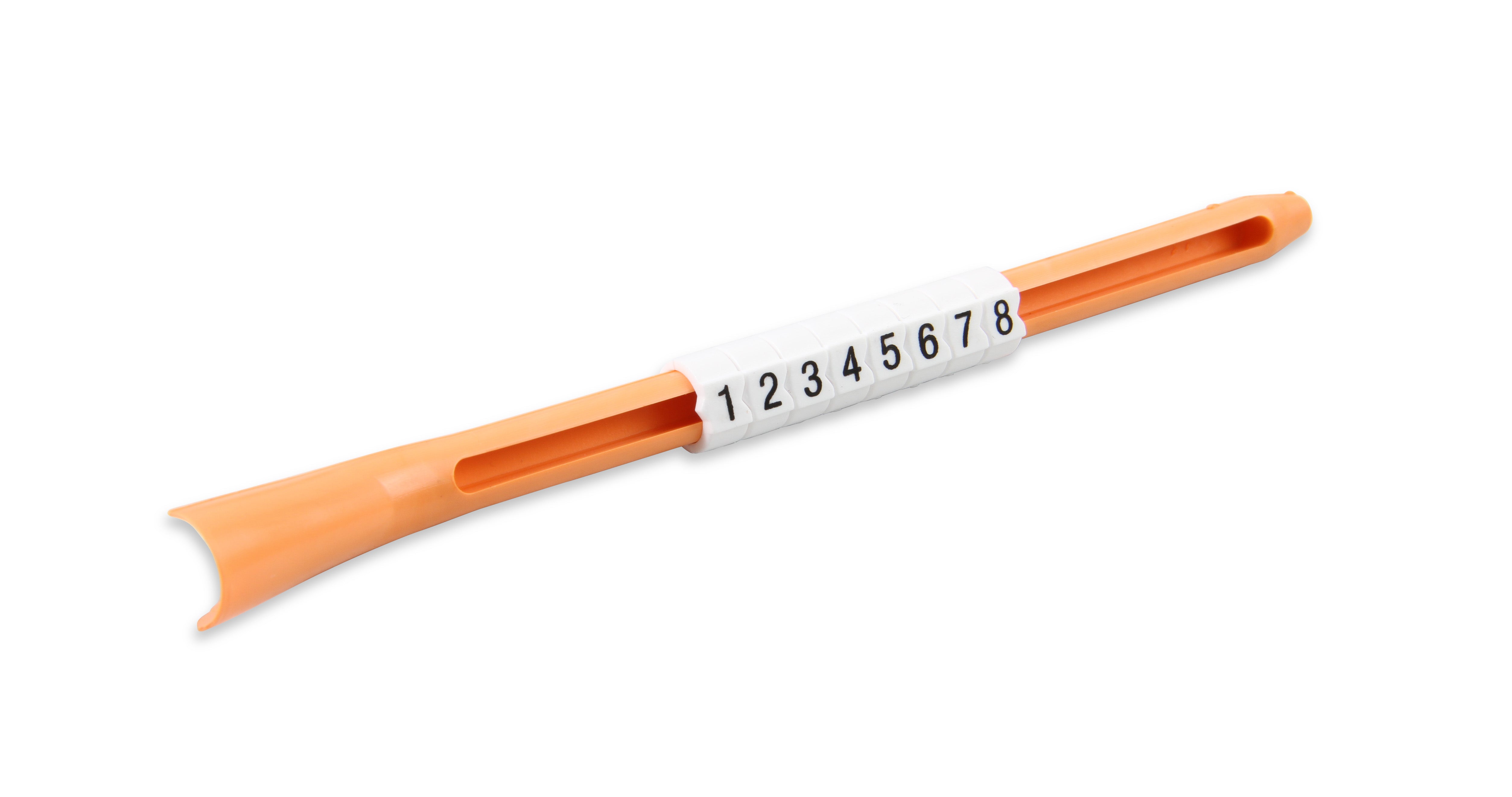 31193_06.jpg thumbnail