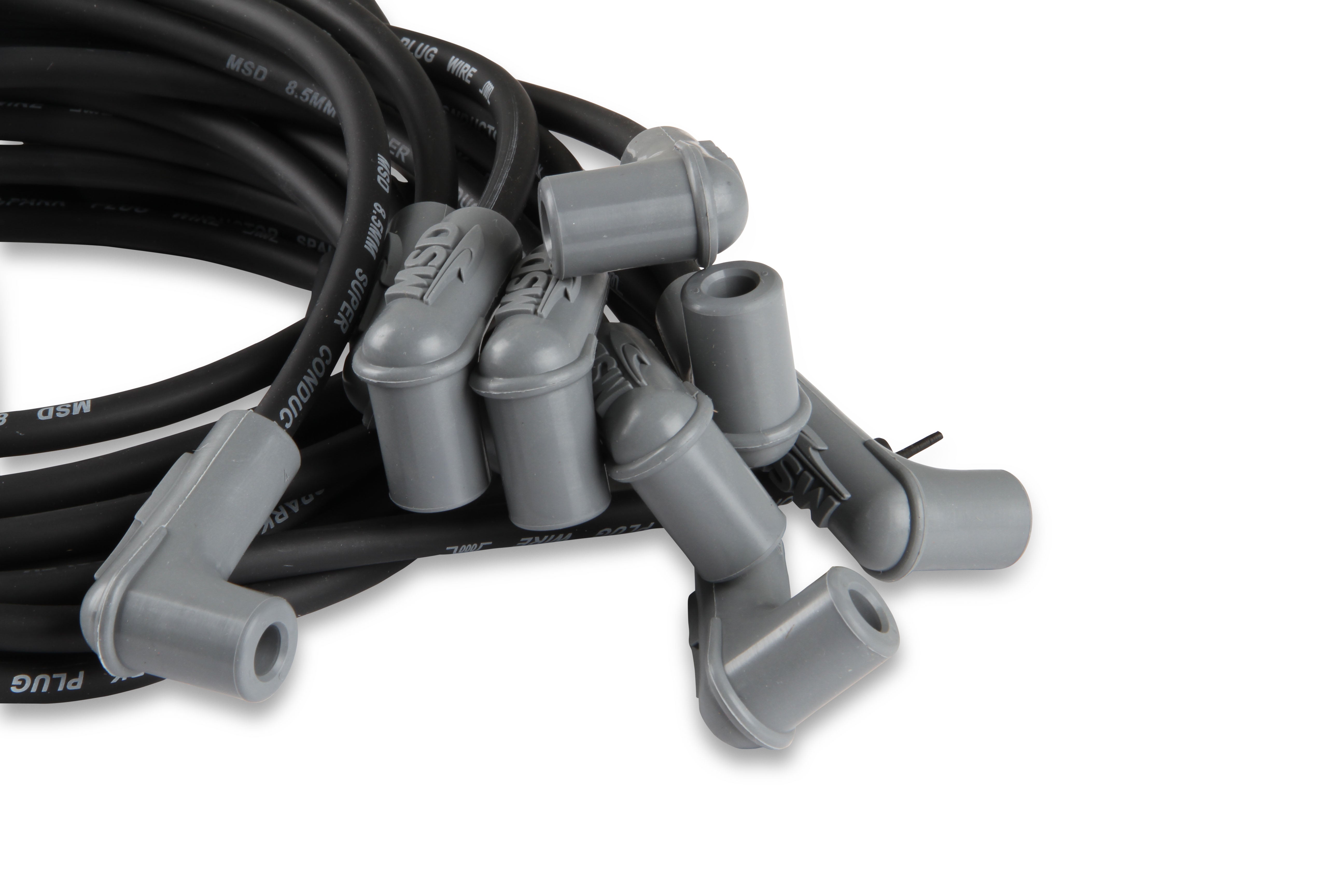 31223_03.jpg thumbnail