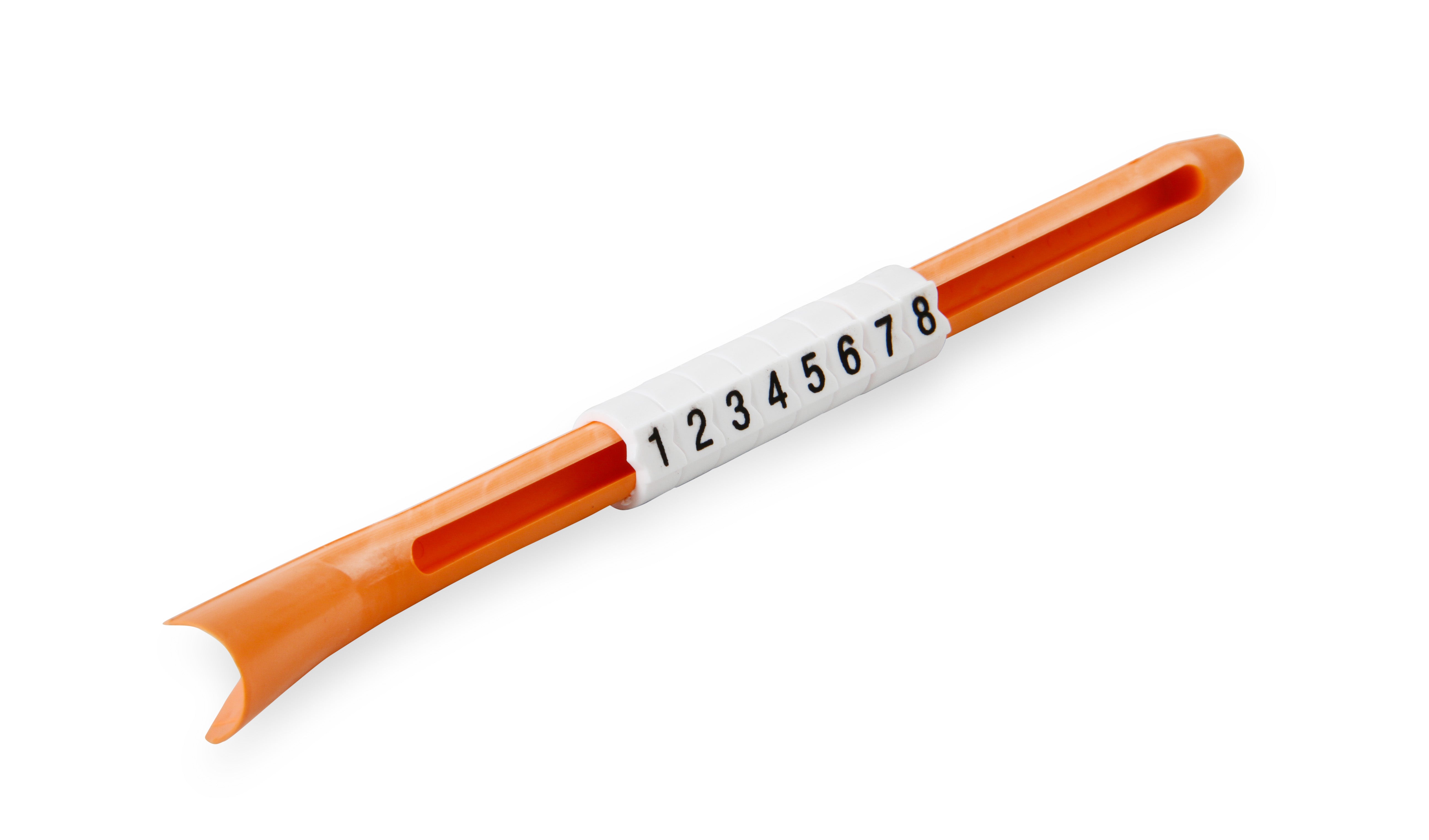 31229_09.jpg thumbnail