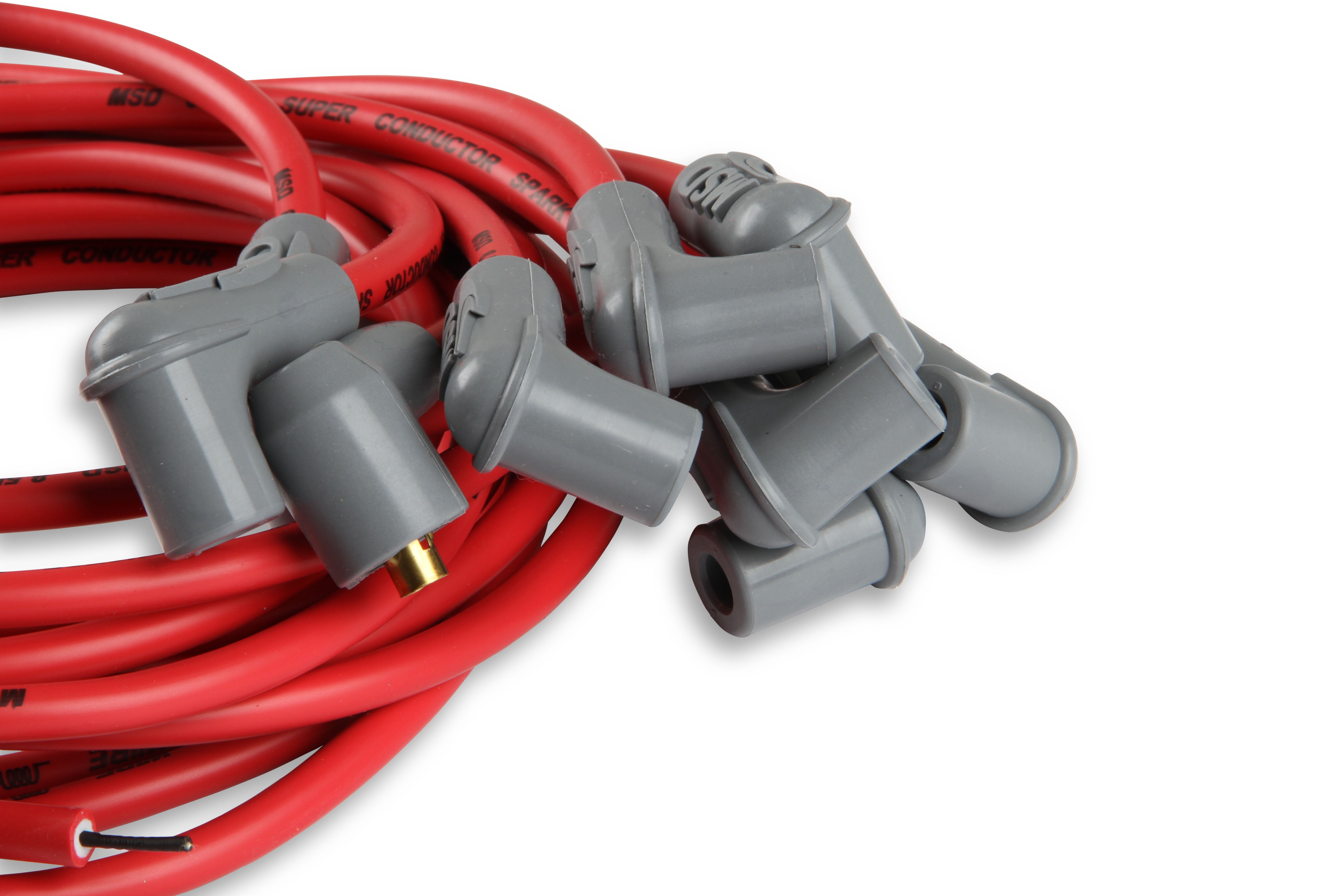 31239_03.jpg thumbnail