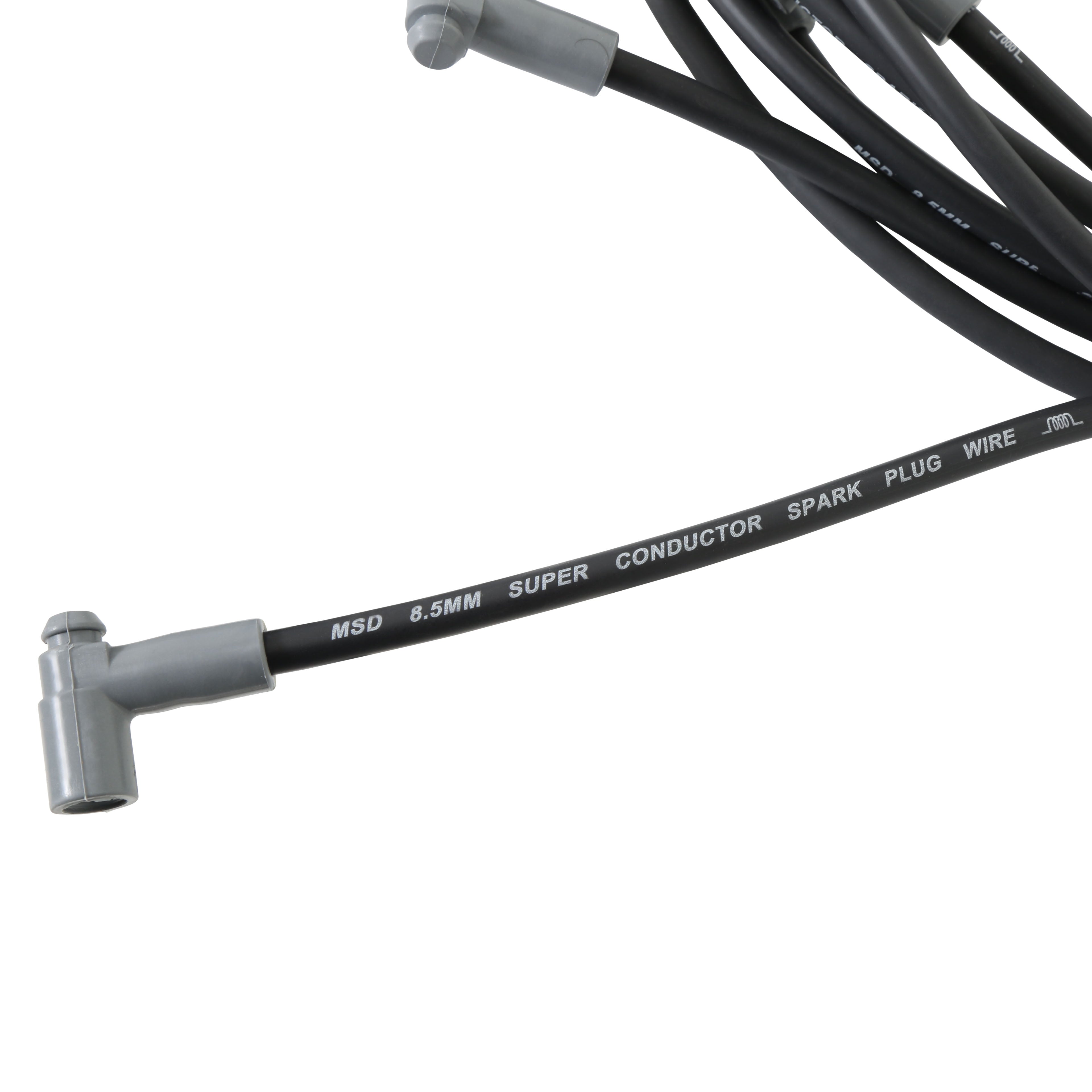 31353_03.jpg thumbnail