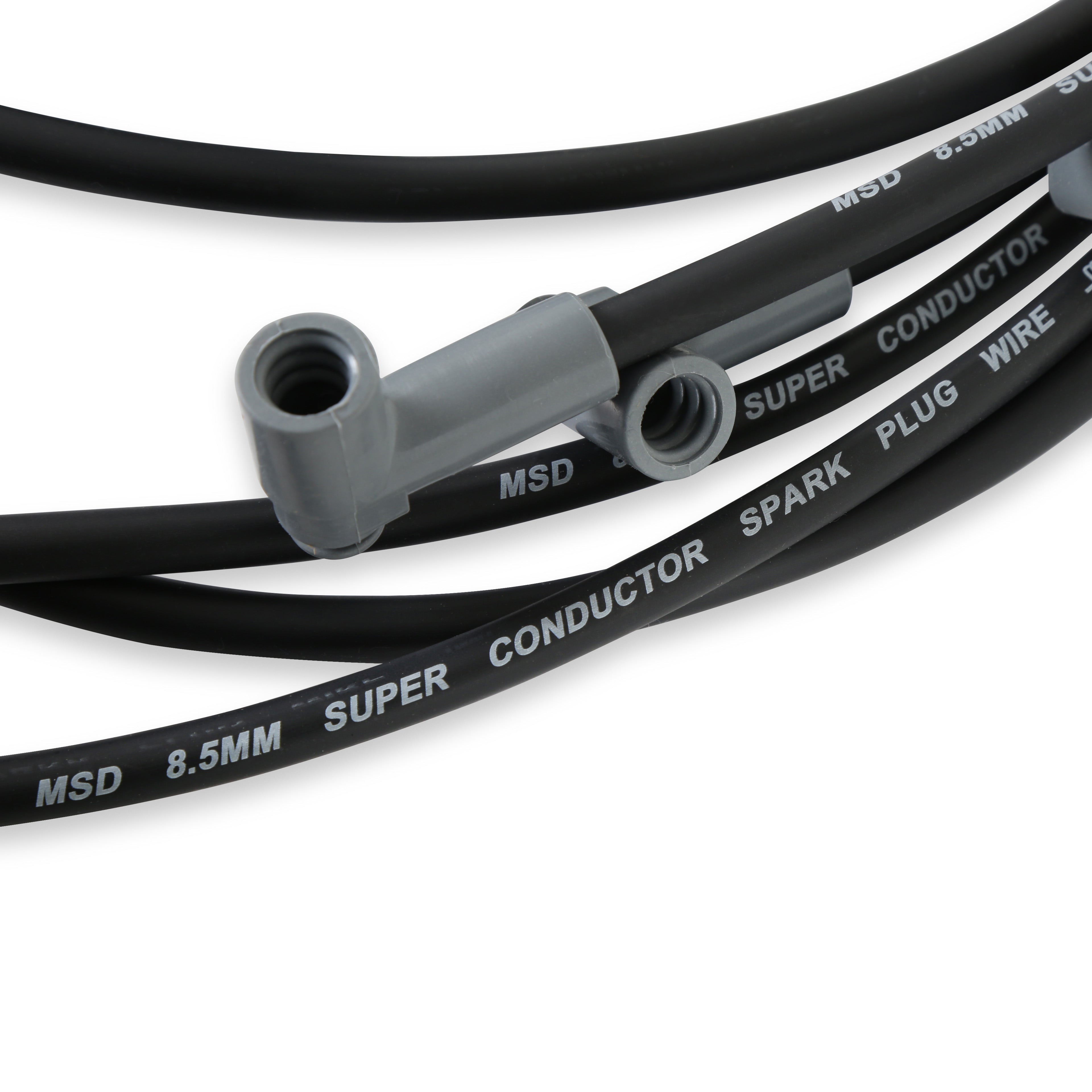 31363_05.jpg thumbnail