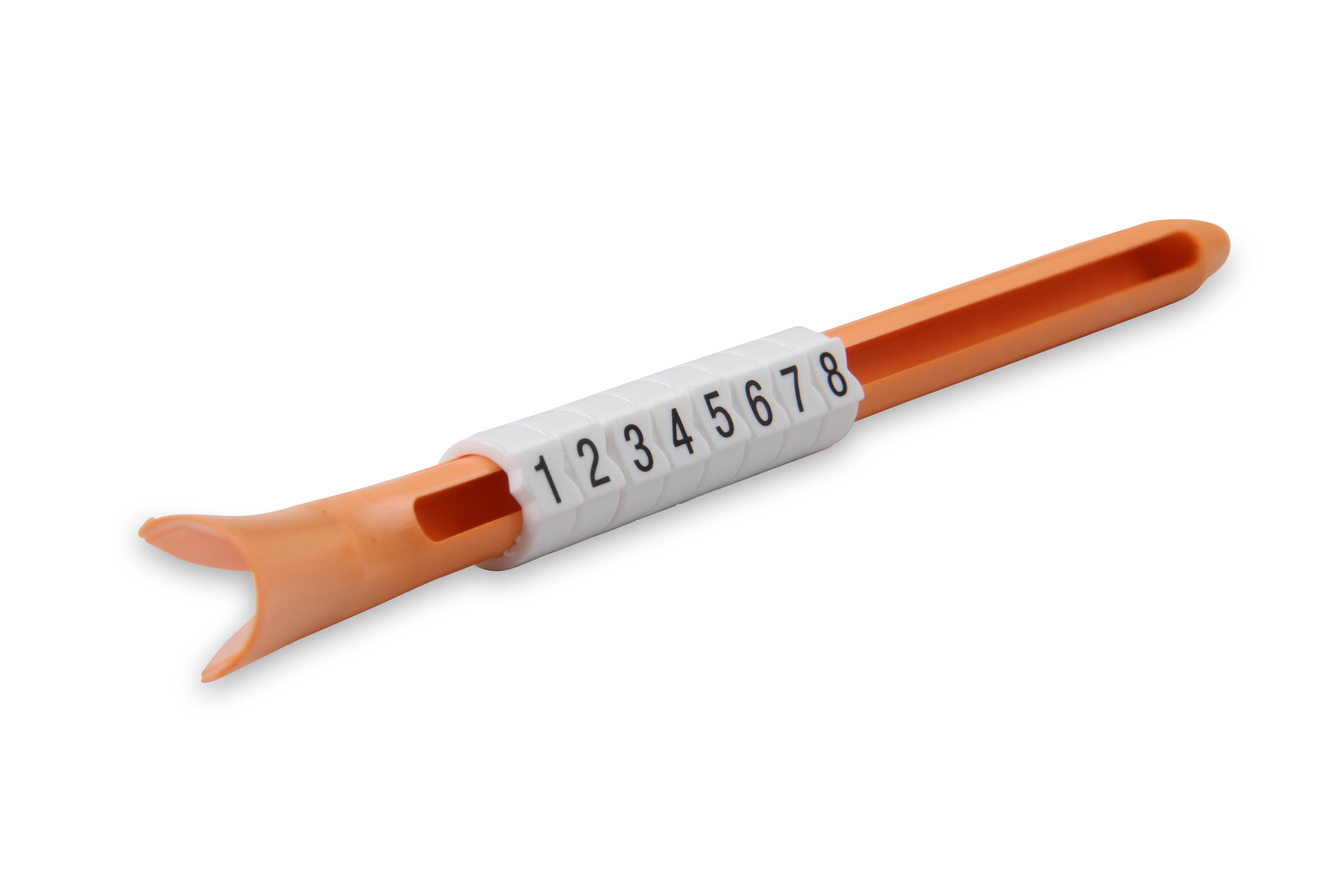 32823_03.jpg thumbnail