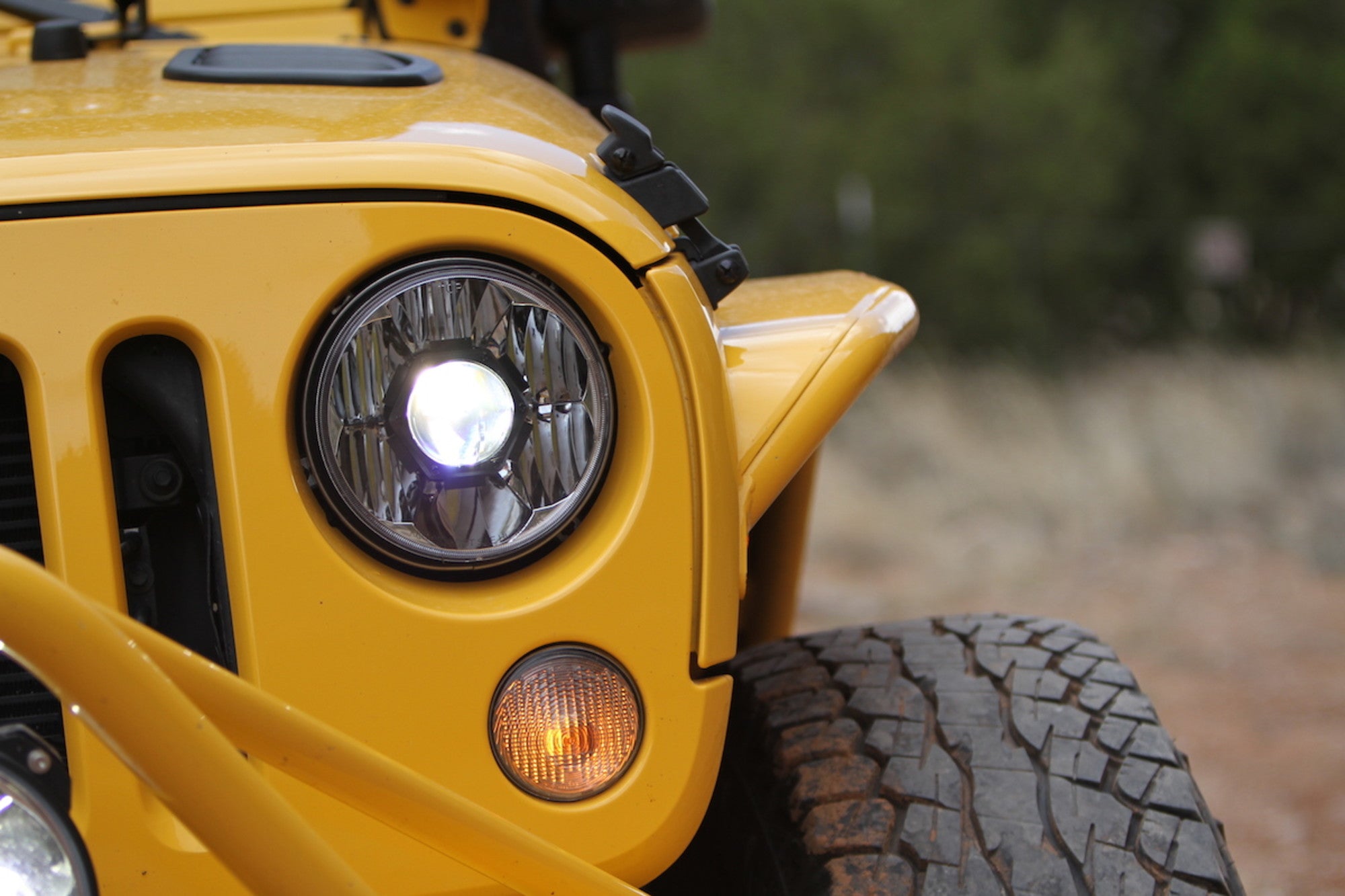 42341_Headlights_9.jpg