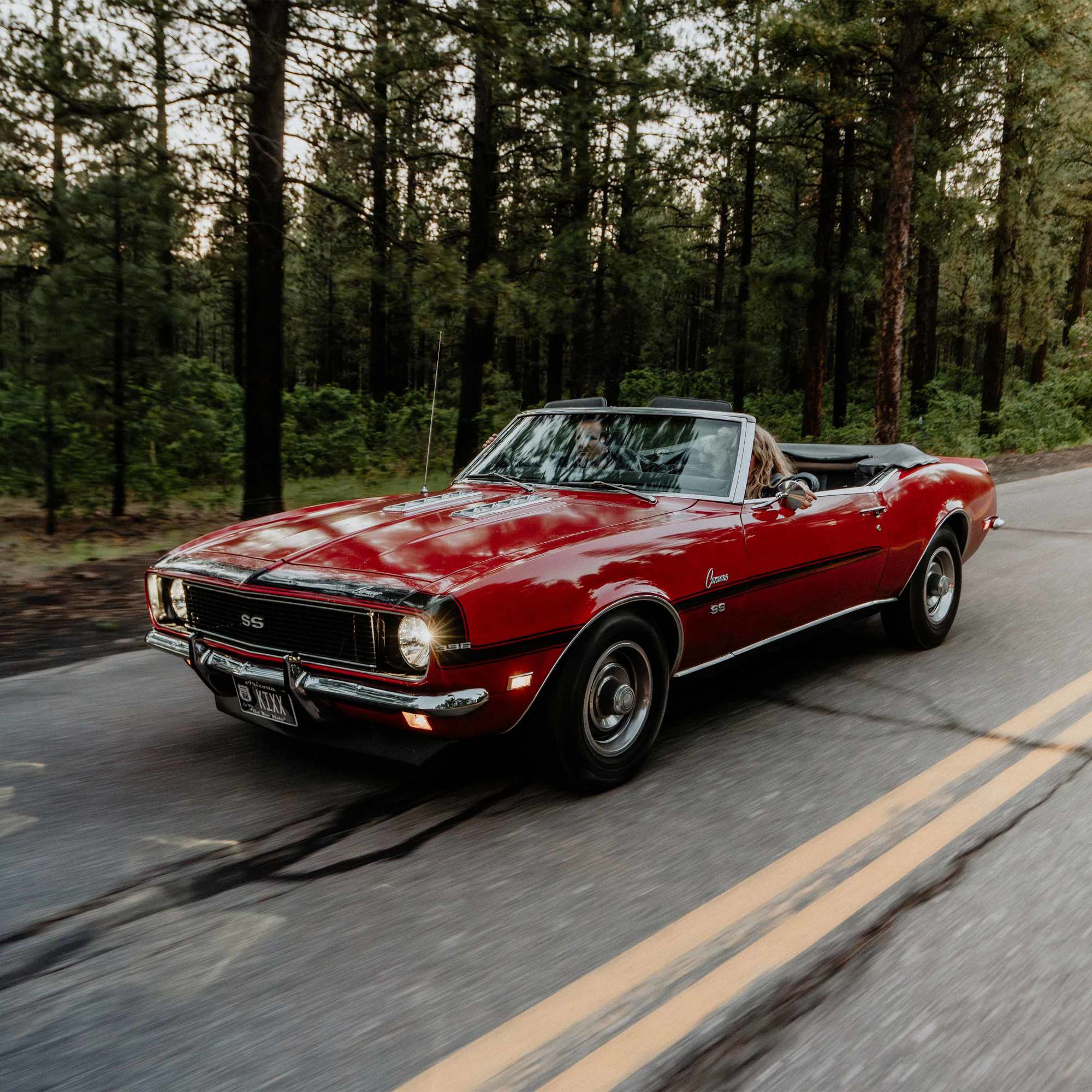 42361_Headlights_8.jpg thumbnail