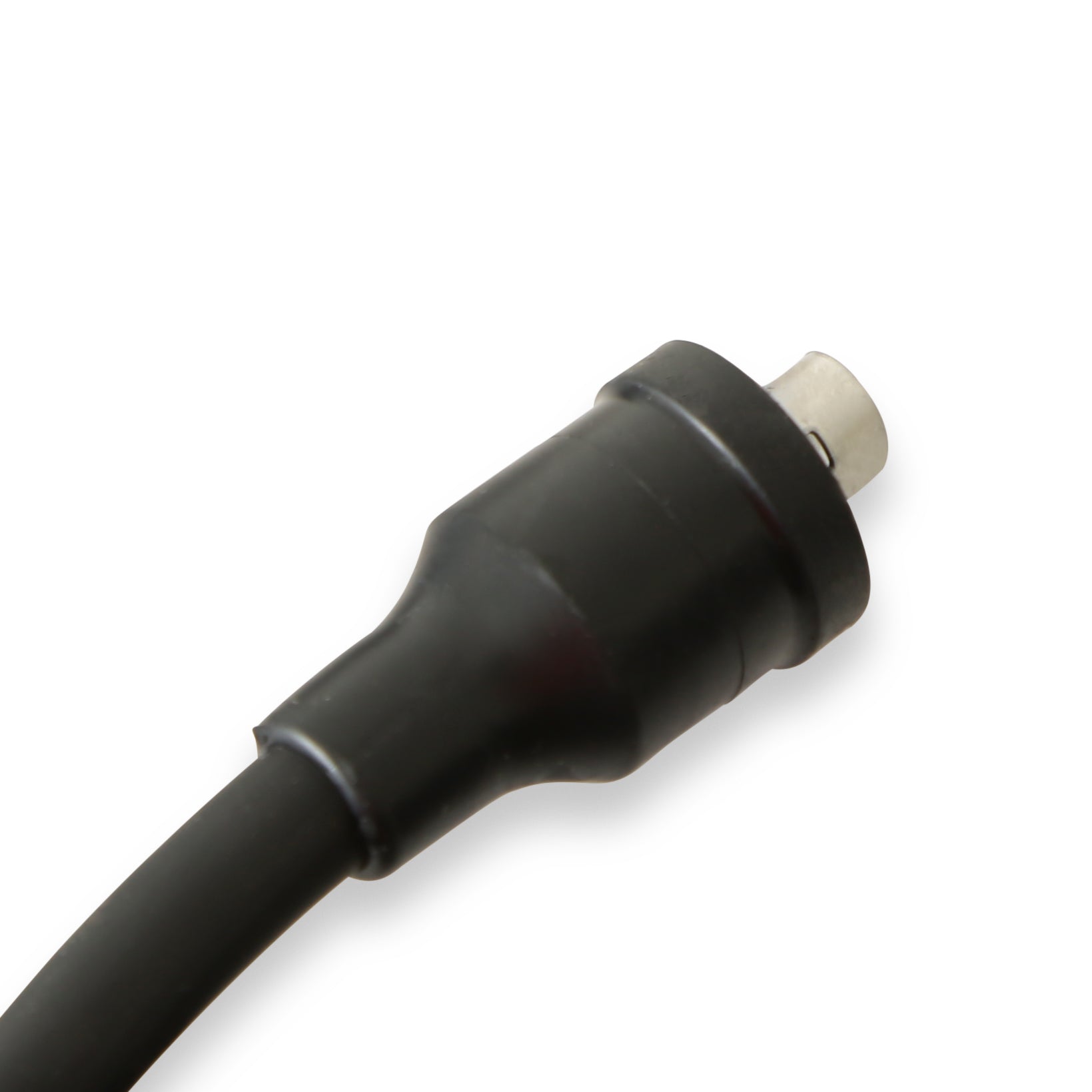 5530_03.jpg thumbnail