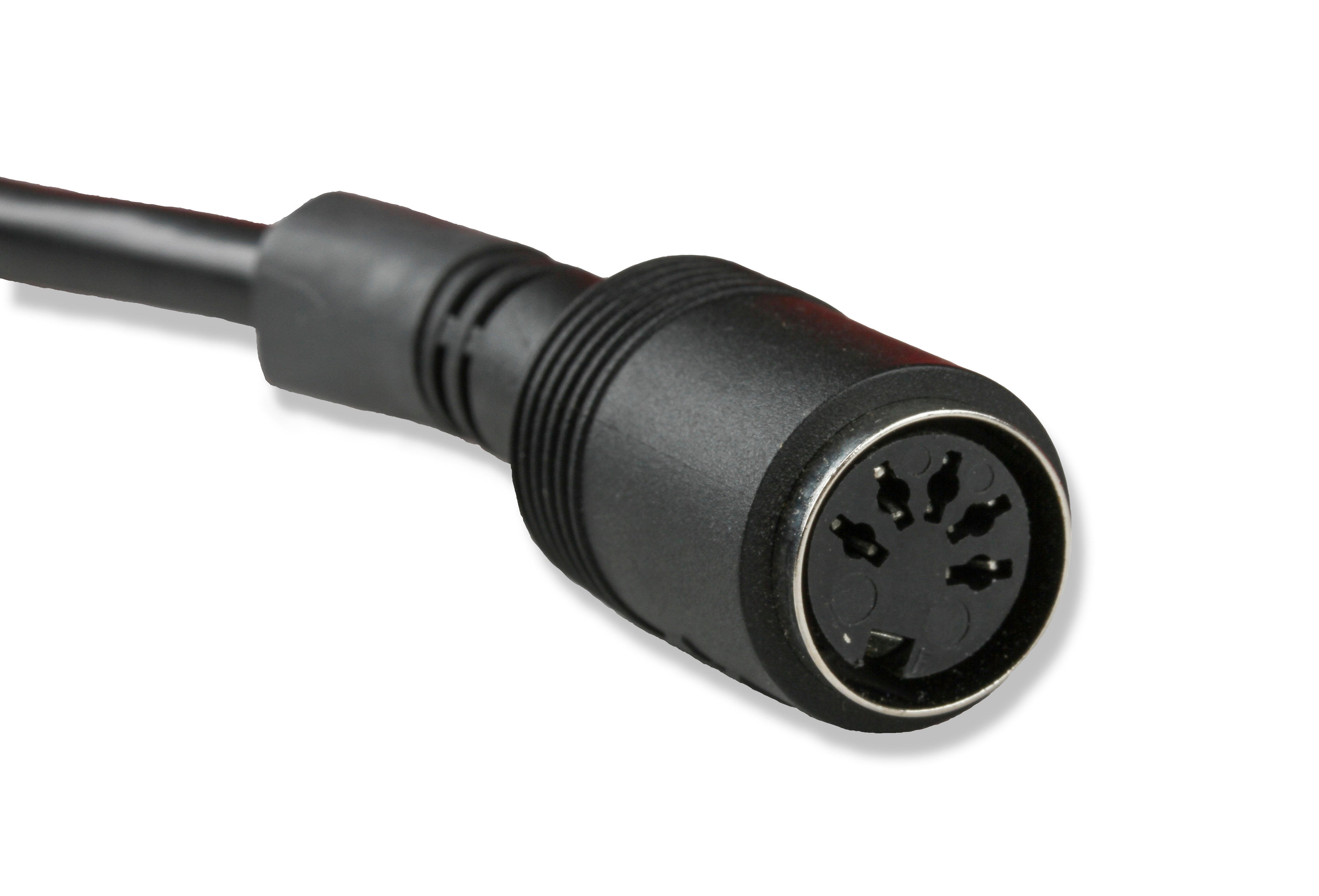 8992_0318332.jpg thumbnail