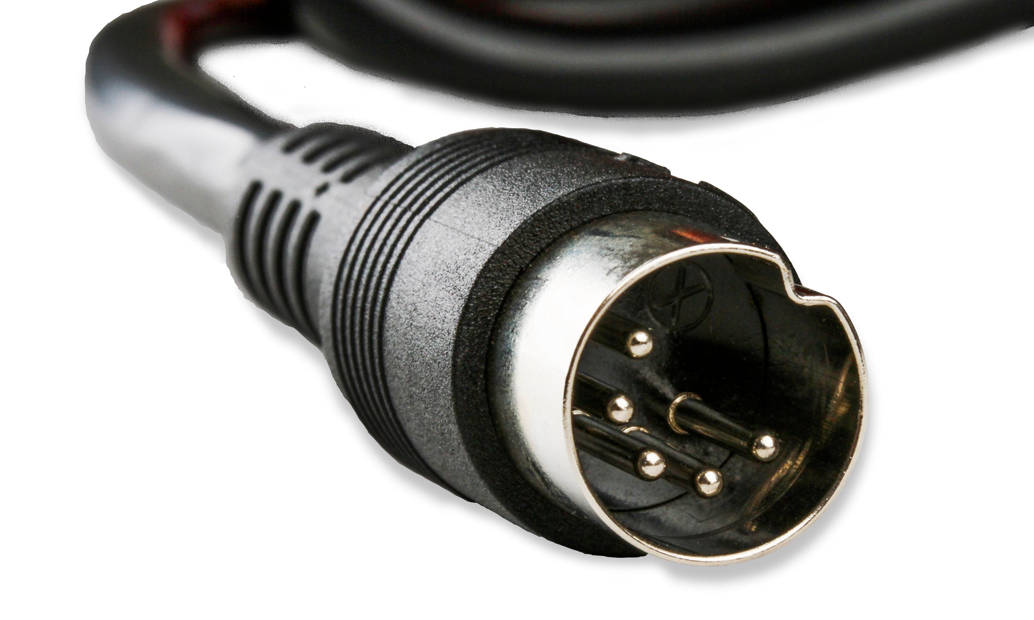 8992_0418332.jpg thumbnail