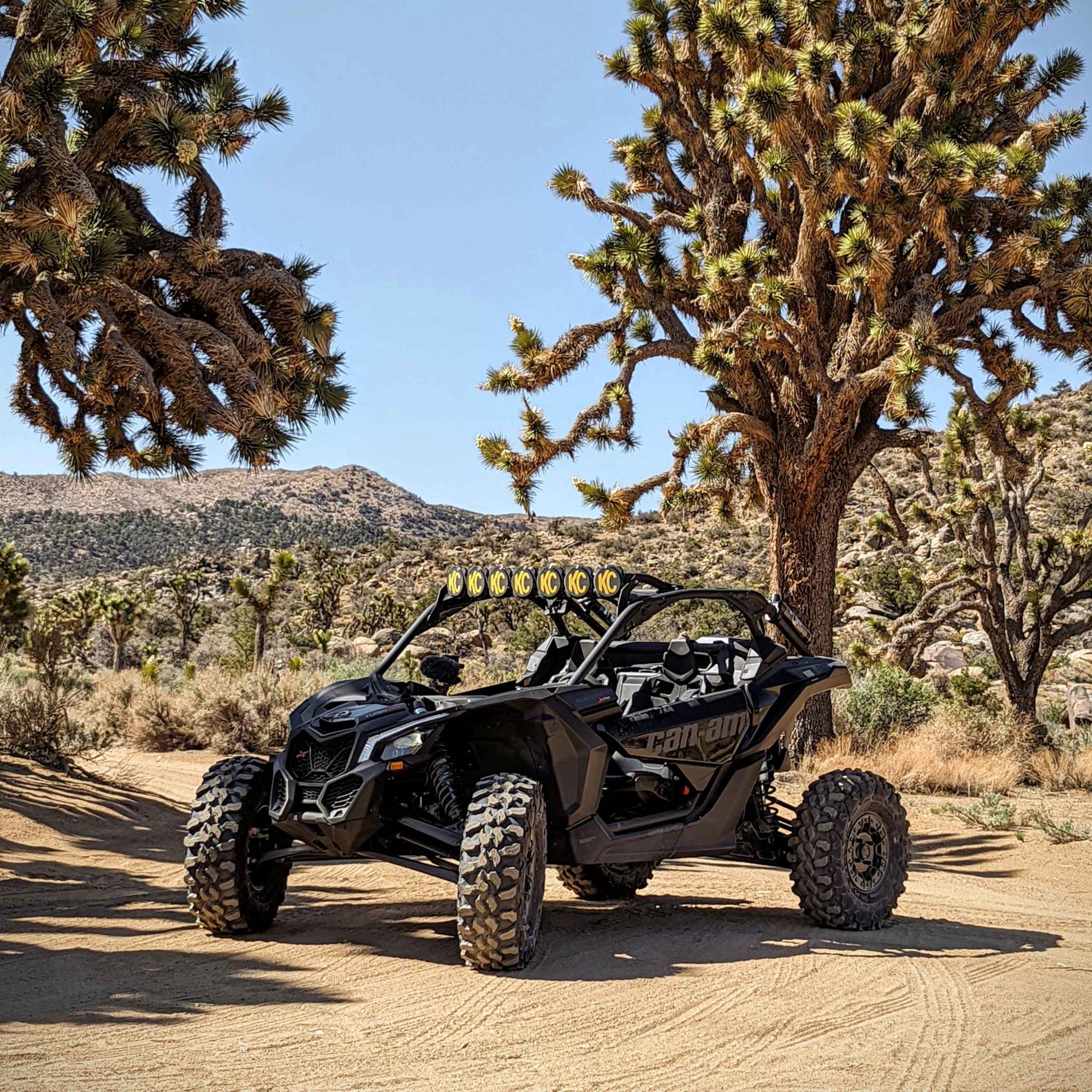91334_Vehicle_Light_System_3.jpg
