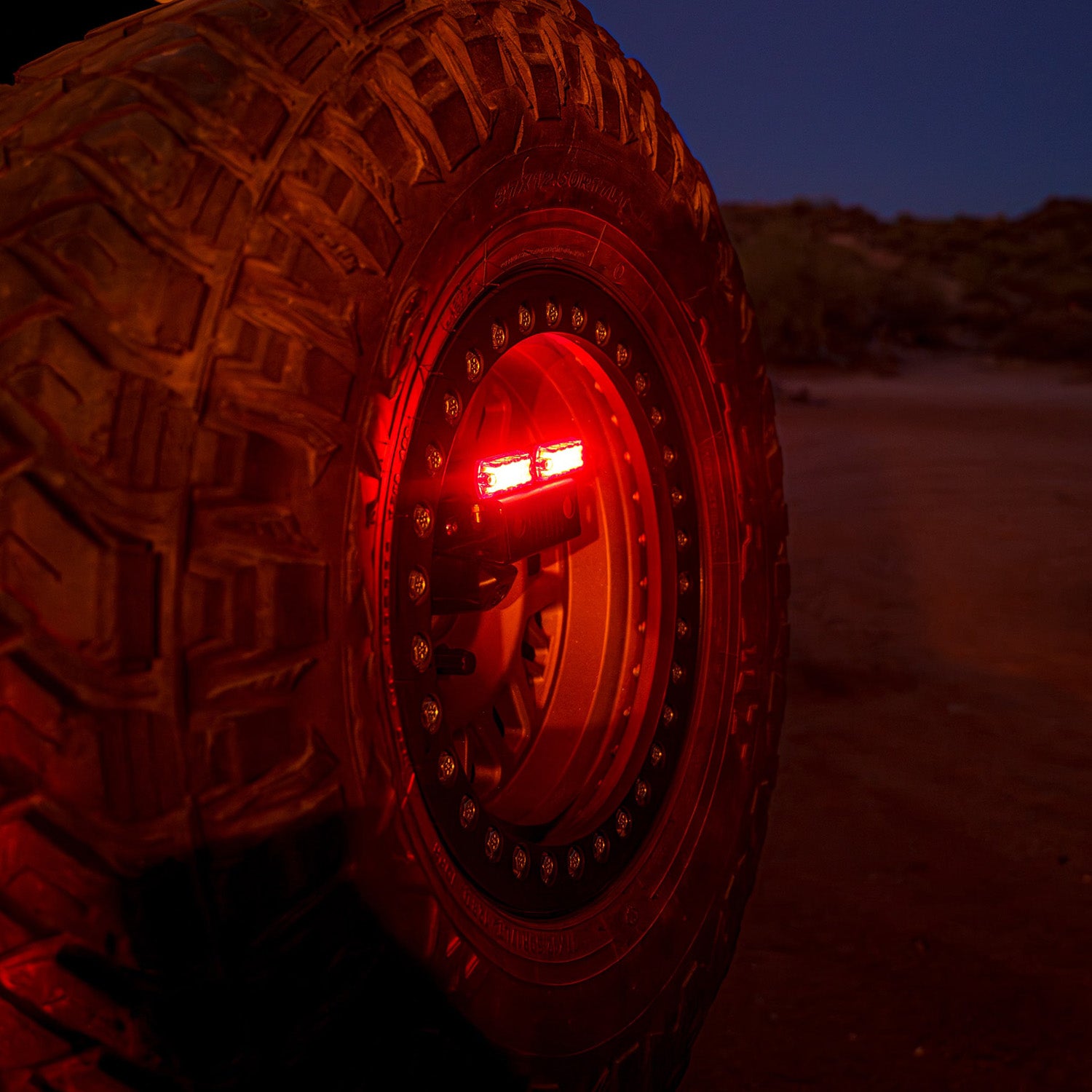 NAN312_v6.jpg thumbnail