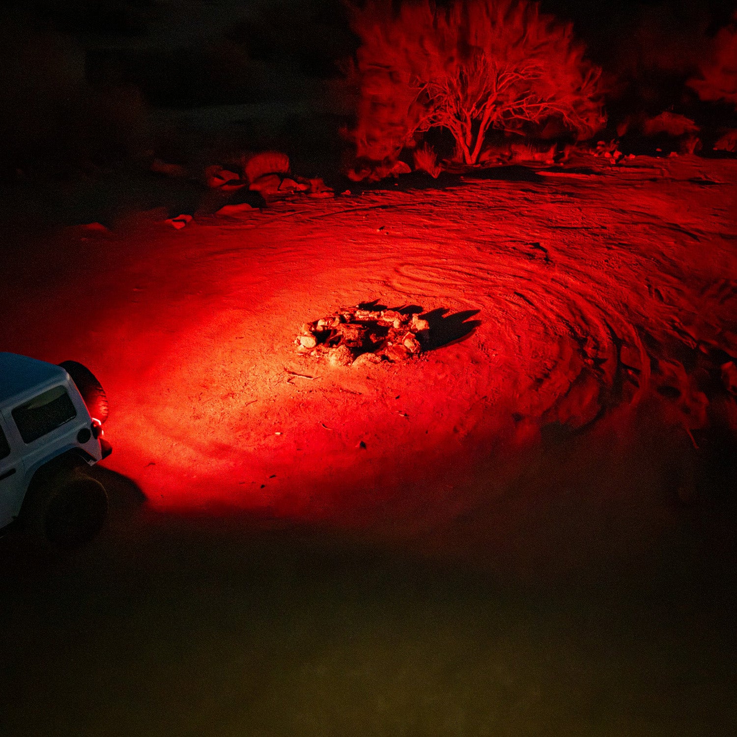 NAN312_v8.jpg thumbnail