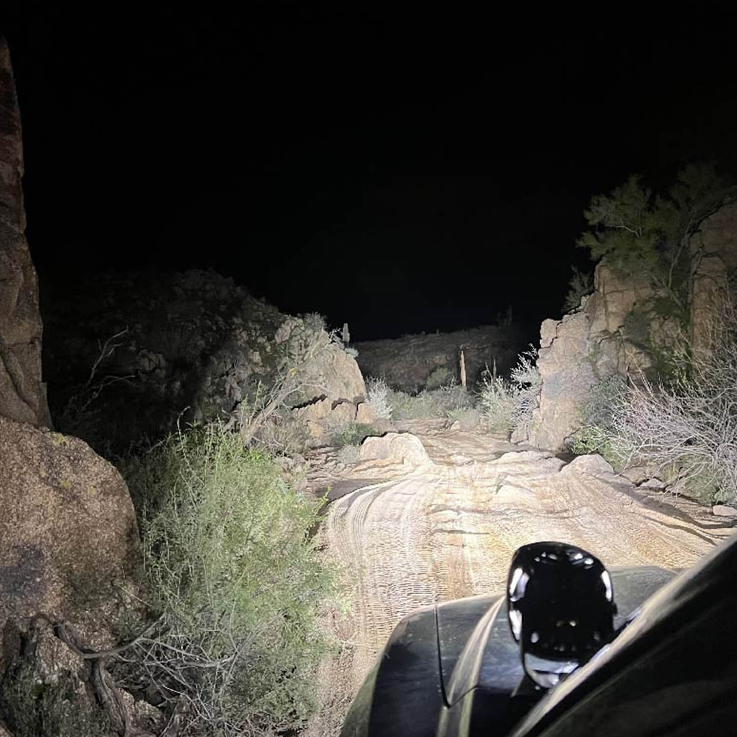 PM411_v8_Raptor Front White.jpg thumbnail