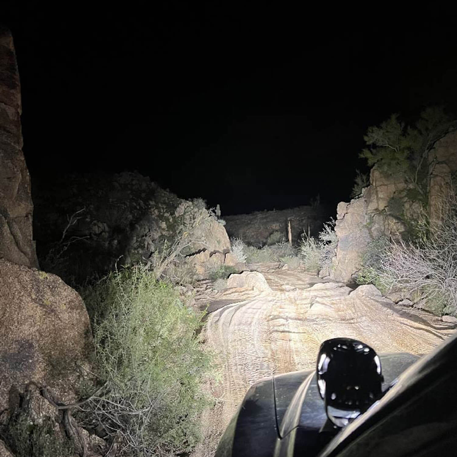 PM431_v7_Raptor Front White.jpg